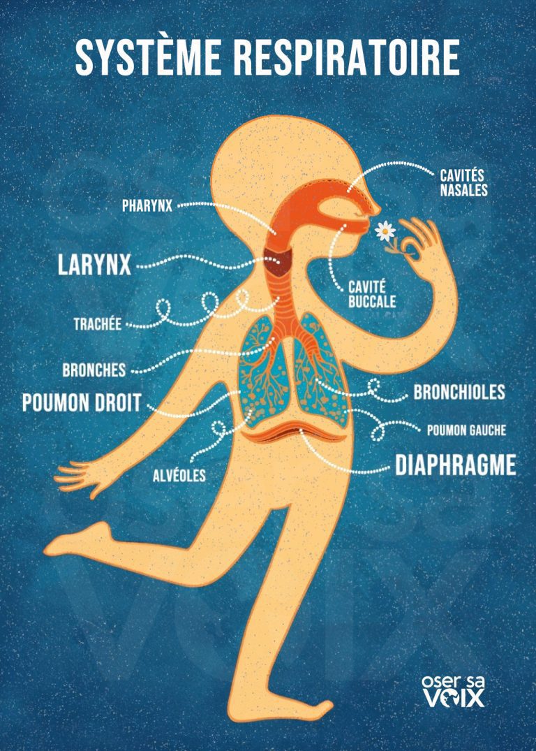 la respiration abdominale - - Les Bienfaits de la Respiration Diaphragmatique